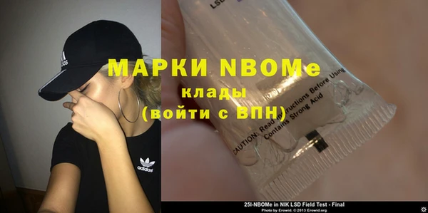 хмурый Ладушкин
