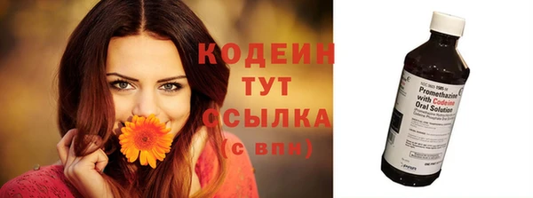 spice Лагань
