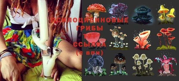 хмурый Ладушкин