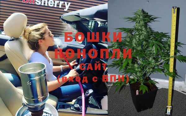хмурый Ладушкин