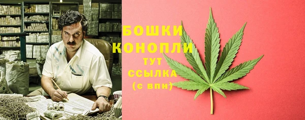хмурый Ладушкин