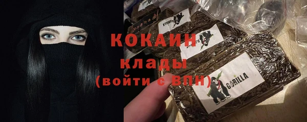 spice Лагань